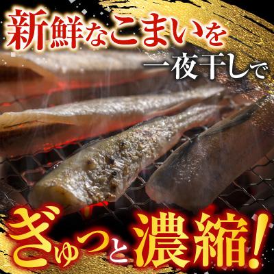 ふるさと納税 根室市 【北海道根室産】一夜干しこまい200g×5袋 A-70012 |  | 01