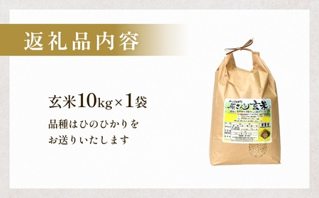 【令和8年産米先行受付】原さんちのお米 玄米 10kg ひのひかり 米 お米 こめ コメ  ご飯 ヒノヒカリ 常温 大分県 大分 玖珠町 玖珠