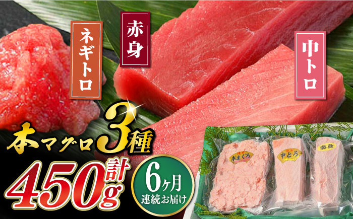 
            【全6回定期便】対馬産 本マグロ 3種 計450g（赤身/中トロ/ネギトロ）《対馬市》 【対海】[WAH013] マグロ まぐろ 鮪 本鮪 本マグロ 養殖 トロ 中トロ 中とろ 赤身 ねぎとろ ネギトロ たたき 刺身 冷凍 海鮮 魚 柵 お祝い 贈答 定期便 毎月届く
          