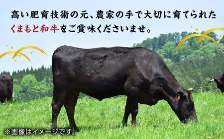 【12回定期便】くまもと黒毛和牛 肩ローススライス 牛すき・しゃぶしゃぶ用 400g（200g×2pc）【馬刺しの郷 民守】   熊本県産 九州産 和牛 お肉 肉 スライス すき焼き しゃぶしゃぶ 小