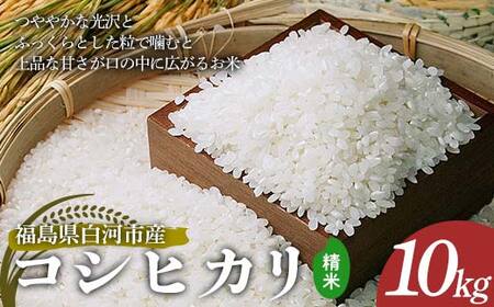 令和7年産 コシヒカリ 精米 10kg 米 コメ ごはん ご飯 食品 F24R-228
