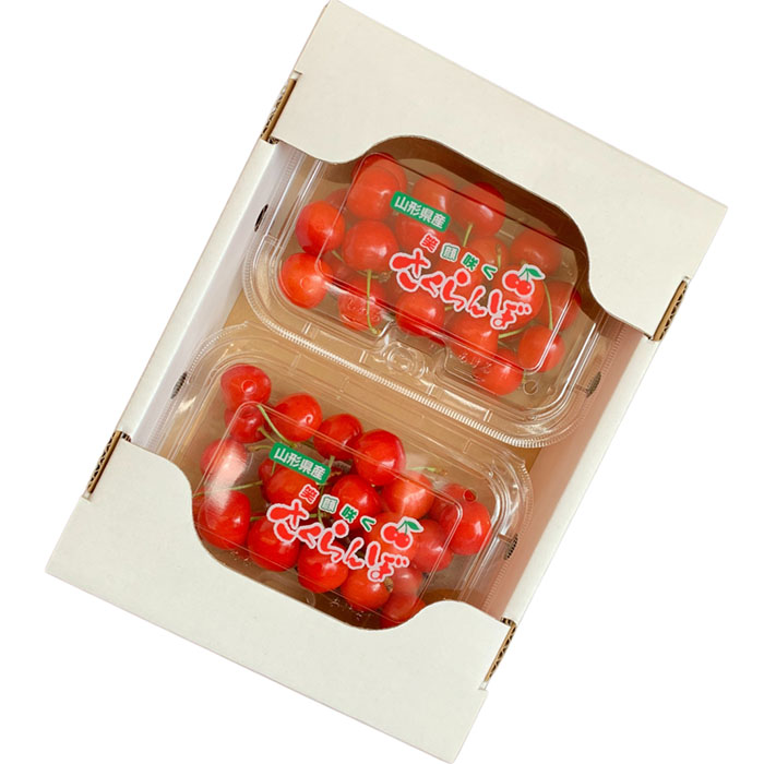 【定期便4回】やまがた 郷土フルーツ定期便 佐藤錦・やわ