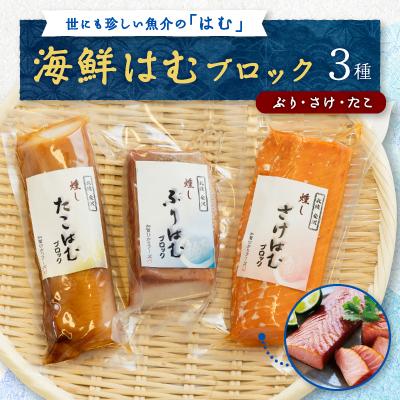 ふるさと納税 野々市市 【簡単・便利・味付け不要】海鮮はむブロック3種(ぶり、さけ、たこ)詰合せ【おつまみ・おかずに!】