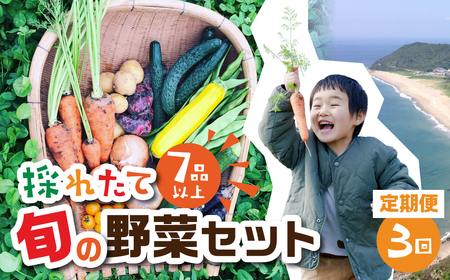 【 3回 定期便 】金賞受賞 旬彩野菜セット 旬の野菜 7品目以上 レシピ付き お届け 国産 新鮮 農薬不使用 化学肥料不使用 産地直送 こだわり野菜