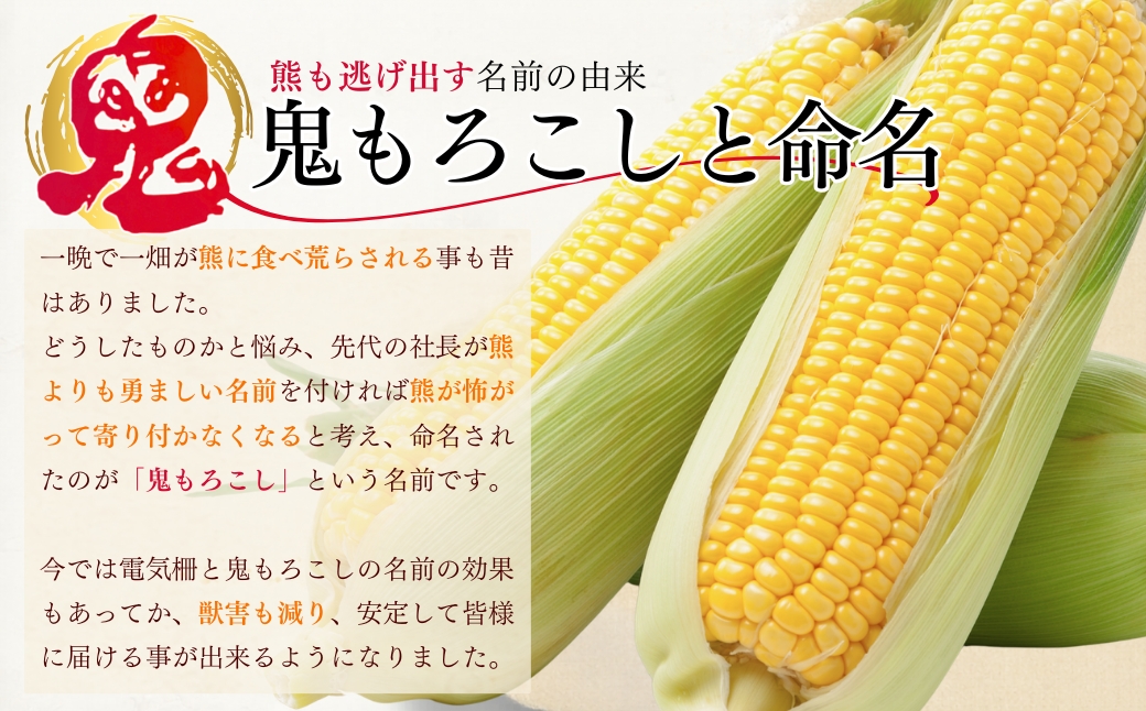 鬼もろこし 5kg 11-13本入り | 津南町 鬼や福ふく 127526-008