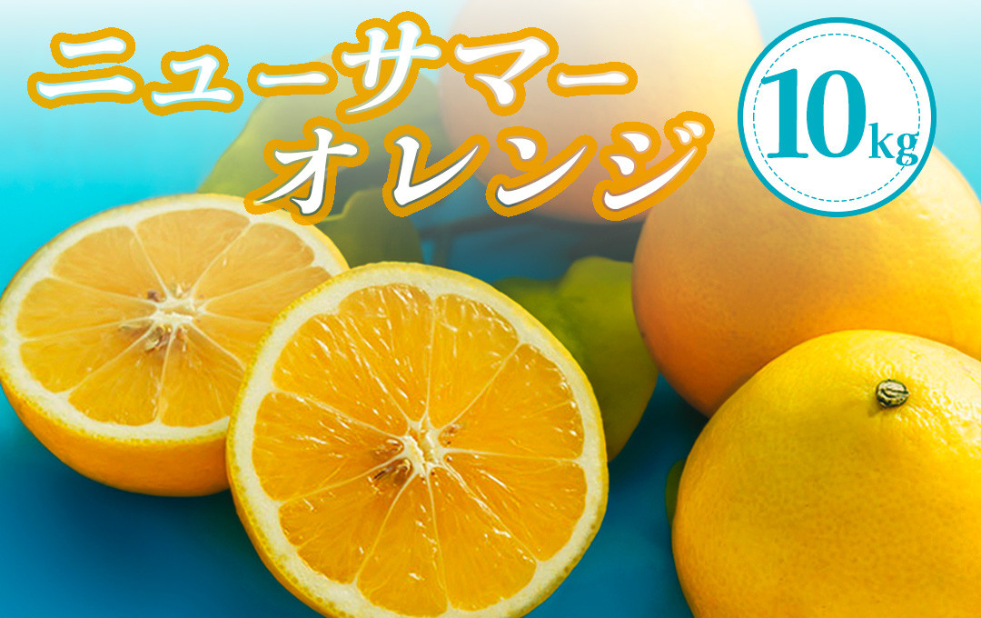 
            【先行予約＿2026年出荷分】湯の花 ニューサマーオレンジ　10kg箱セット　【 ニューサマーオレンジ 日向夏 みかん 果物くだもの フルーツ 旬 柑橘 静岡 甘い 新鮮 伊豆 南伊豆 】　<BC-32>
          