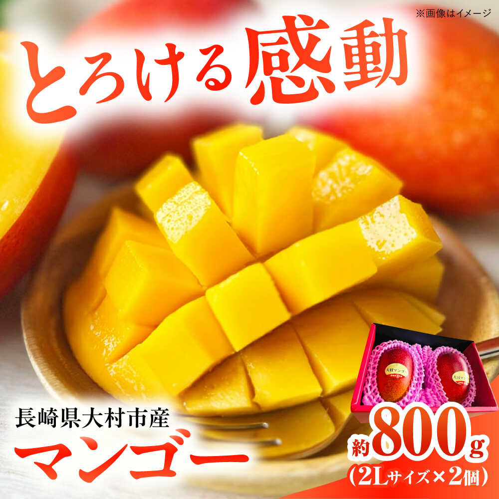 【ふるさと納税】【2026年7月下旬から順次発送】 大村マンゴー 約800g (2L×2個) / 先行予約 マンゴー アップルマンゴー まんごー フルーツ ふるーつ 果物 くだもの / 大村市 / 県央リサイクル開発[ACBC001]