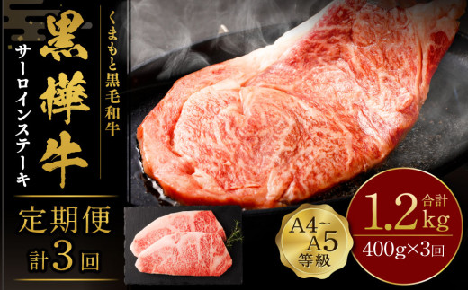 【3回定期便】くまもと黒毛和牛 杉本本店 黒樺牛 A4~A5等級 サーロインステーキ定期便 400g×3回
