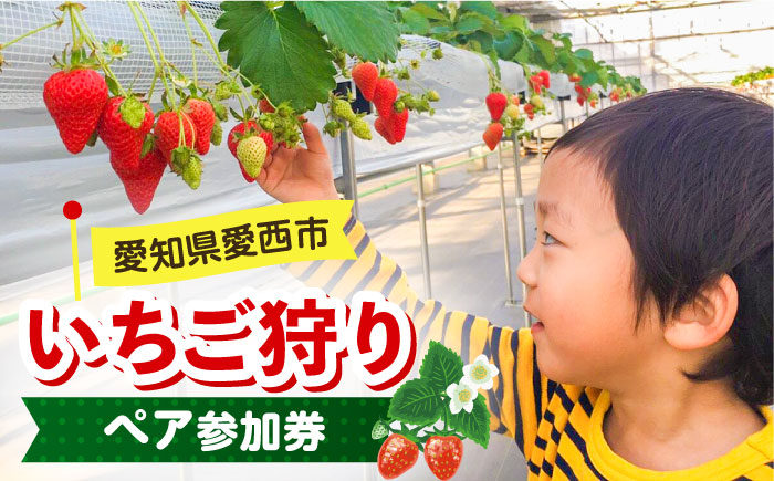 
            いちご狩り 40分食べ放題 ペア参加券  いちご 苺 いちご狩り 食べ放題 愛西市 / 有限会社マロンライフ[AEBN001]
          
