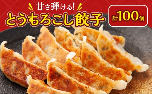 
                  いちりきのとうもろこし餃子　100個　食品 惣菜 餃子 ぎょうざ ギョーザ とうもろこし トウモロコシ おかず おつまみ 冷凍 いちりきのコロッケ 老舗 静岡県 森町
                