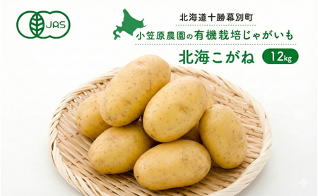 有機じゃがいも 北海こがね 12kg 秋出荷 じゃがいも