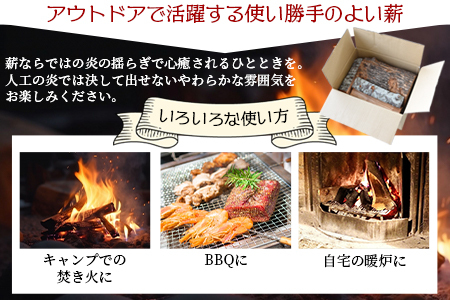 ＜家庭用 スウェーデントーチ 1本+薪 約5本セット（ジェルタイプ着火剤付き）＞翌月末迄に順次出荷【a0614_cz】