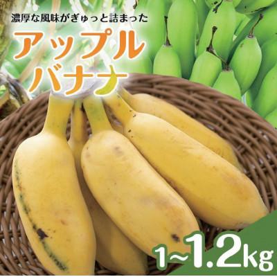 ふるさと納税 糸満市 【産地直送】 南国フーズ アップルバナナ 1kg〜1.2kg