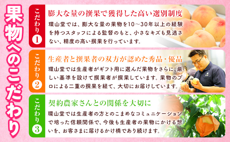 【2026年先行予約】桃 もも 清水白桃 5～7玉 約1.5kg 岡山県産 環山堂株式会社【配送不可地域あり】（北海道・沖縄・離島）《2026年7月中旬-7月下旬頃出荷》岡山県 浅口市 白桃 ---1