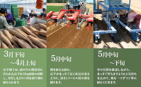 北海道 十勝の大地が育てたシャキシャキ食感と強い粘り 幕別産 長いも 2Lサイズ 10kg［木川商店］【 長いも 長芋 ながいも ナガイモ とろろ 芋 いも 野菜 10kg 5kg  産地直送 旬 濃