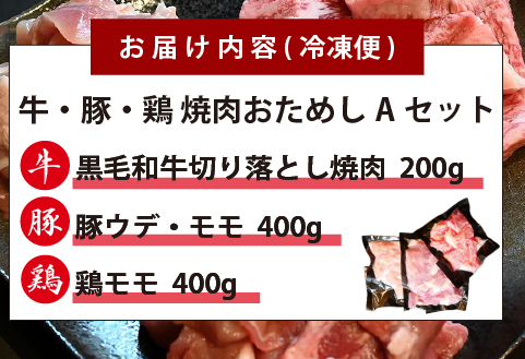 宮崎県産 牛・豚・鶏 焼肉おためしAセット 計1kg（牛肉 豚肉 鶏肉 和牛 焼肉 訳あり 小分け 食べ比べ）