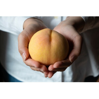 【ふるさと納税】岡山県産「清水白桃」約1kg|2026年7月下旬以降順次発送予定【1516926】