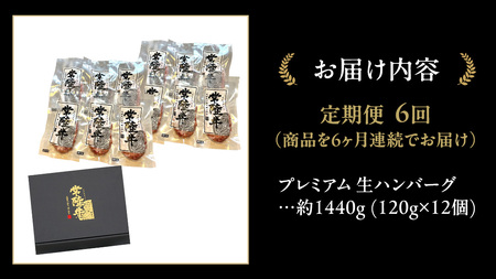 【6ケ月定期便】 常陸牛 100% プレミアム 生ハンバーグ 合計8640g（ 120g × 12個 × 6回 ） 【茨城県共通返礼品】 ハンバーグ 黒毛和牛 和牛 牛肉 肉 レトルト 冷凍 簡単 小