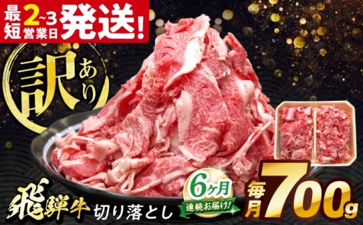 【6回定期便】 飛騨牛 切り落とし 700g 多治見市 / 養老ミート [THG018]