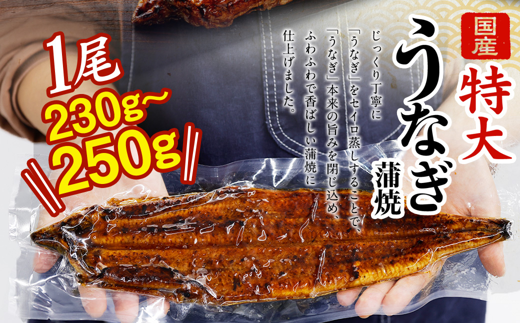 国産 うなぎ 蒲焼 2尾 （460g ～ 500g）と 特製タレ 2個 セット 鰻 ウナギ 蒲焼き うなぎ蒲焼 セイロ蒸し せいろ蒸し タレ付 冷凍