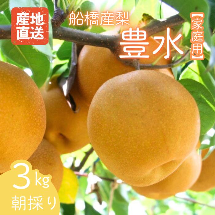 D014-2025 【家庭用】果汁たっぷりの極上梨「豊水・3kg」（2025年産）