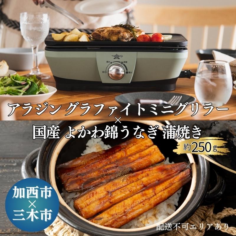 アラジン グラファイトミニグリラー グリーン 国産 よかわ錦うなぎ 蒲焼き 約250g セット 詰め合わせ CAG-MG7AG うなぎ 鰻蒲焼 アラジングリル グラファイトグリラー ホットプレート 調理家電 家電 日用品 加西市 × 三木市