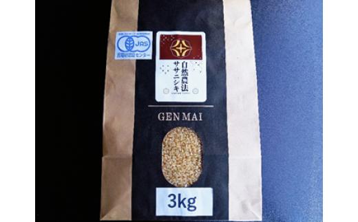 ＜新米先行予約＞【隔月定期6回】令和7年産 新米 自然農法 ササニシキ 3kg【玄米】