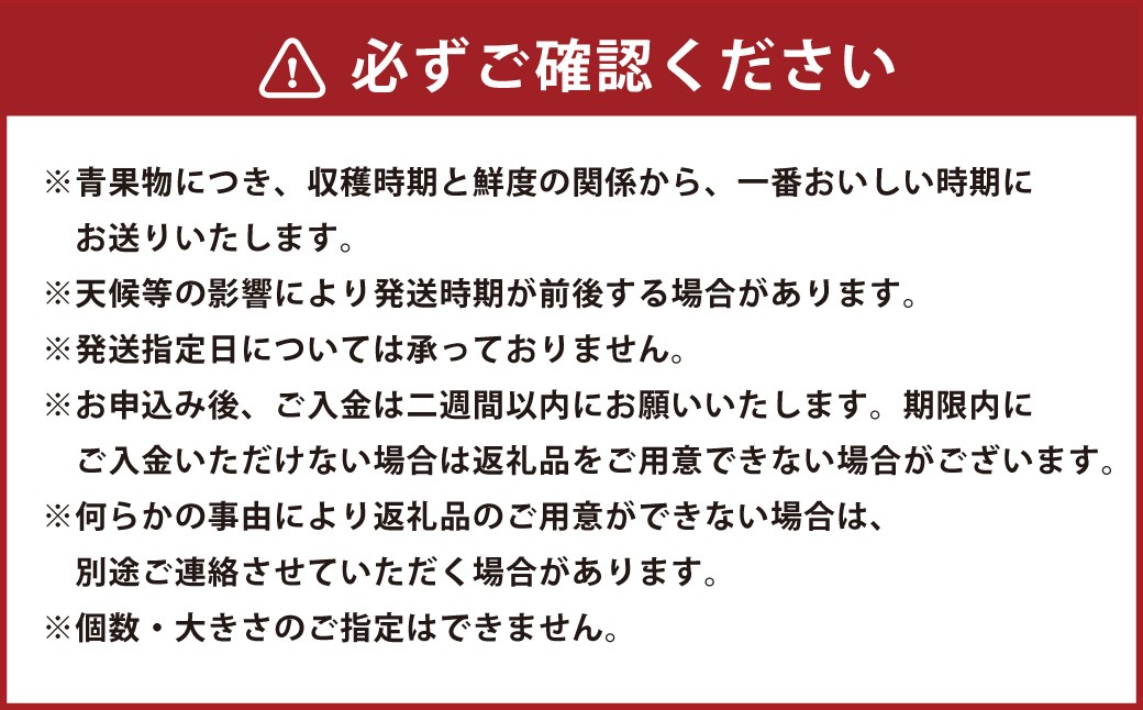 【 年3回定期便 （ 毎年8月 ・ 9月 ・ 10月お届け予定 ） 】 かねひろの旬のフルーツ定期便プレミアム