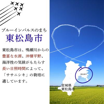 ふるさと納税 東松島市 【令和7年産】 宮城県産ササニシキ(精米)  10kg 米 ささにしき ササニシキ 宮城県産 |  | 03