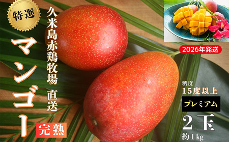 マンゴー 【2026年発送】久米島赤鶏牧場 直送！糖度15度以上「プレミアム」完熟マンゴー 2玉（約1kg）アーウィン