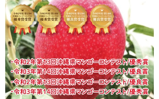 【2026年6月より順次発送】【先行予約】赤秀アーウィンマンゴー 3～4玉(約1.5kg)(化粧箱)｜沖縄県 豊見城市 マンゴー アーウィンマンゴー フルーツ 果物 くだもの おきなわマンゴー ギフト