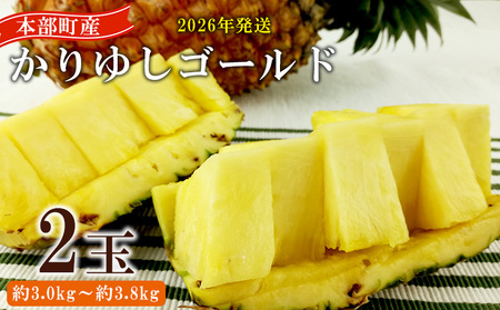 パイン【2026年発送】先行予約 かりゆしゴールド 2玉（約3.0kg～3.8kg） パイナップル