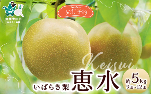 【先行予約 2026年】梨 恵水 約5kg 9玉～12玉 | 茨城県 常陸太田市 桧山果樹園 恵水 梨 フルーツ 高級 産地直送 限定品 贈り物 新鮮 お取り寄せ デザート ギフト 風味豊か 青梨 大玉 香り 上品 希少価値 珍しい 地域 甘い 限定 果物 果樹
