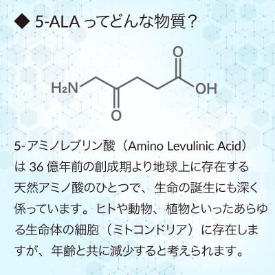 ふるさと納税 袋井市 アラヴィータ　肌を育む3点セット(美容液、化粧水、クリーム) |  | 02