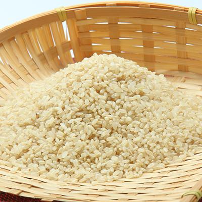 ふるさと納税 大潟村 あきたこまち玄米5kg |  | 01