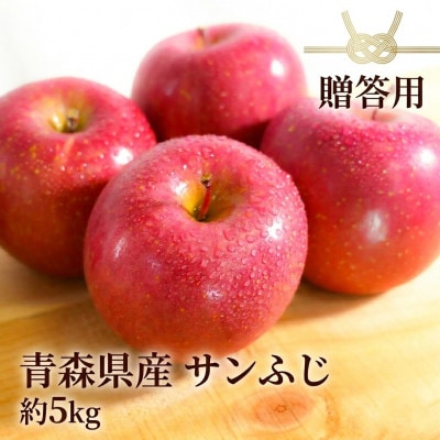【26年11月〜翌年1月まで出荷予定】平均糖度13度以上! サンふじ 約5kg 贈答用　青森りんご【配送不可地域：離島・沖縄県】【1612829】
