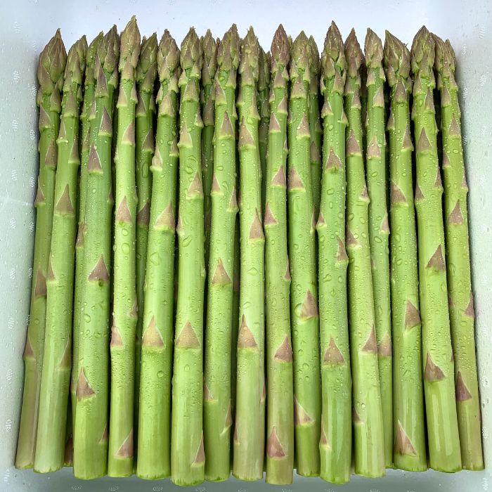 アスパラ王子が育てた自慢のアスパラ「Lサイズ」1kg（さぬきのめざめ　おおもりや）【予約受付：令和8年4月頃より頃より御用意出来次第発送】【H-54】