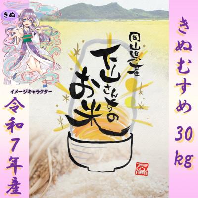ふるさと納税 岡山市 《岡山県産お米_令和7年産》【きぬむすめ】玄米30kg