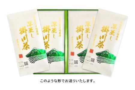 茶草場農法 100％ 深蒸し掛川茶 100g×4袋（ギフト箱入）（新茶 ･令和7年5月下旬より発送　②令和6年度産：今すぐ発送）　三重大製茶　（※新茶受付あり） 1879