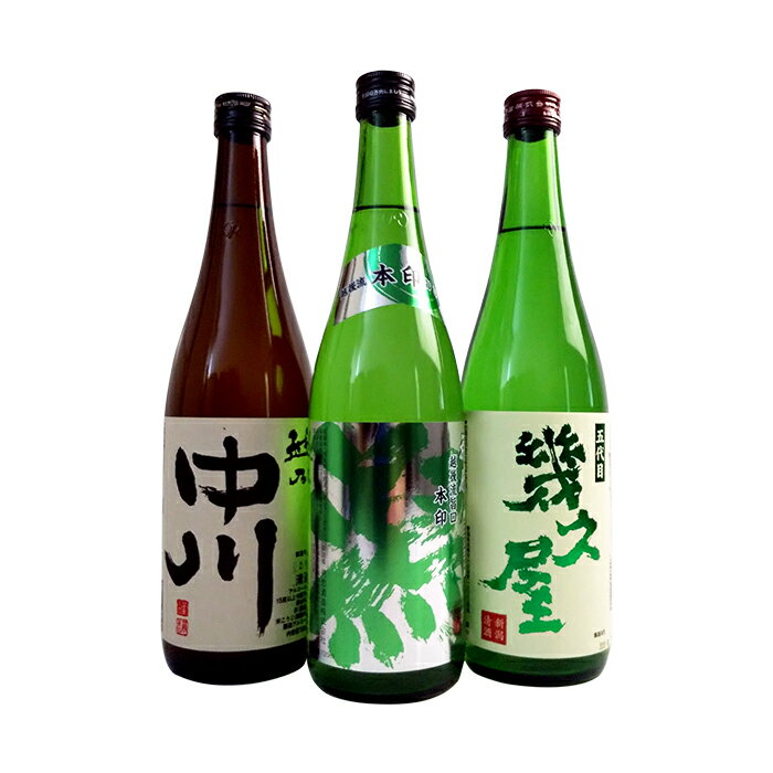 【ふるさと納税】日本酒 飲み比べ 新潟 C1-40B越後銘門酒会オリジナル飲み比べセット（720ml×3本）