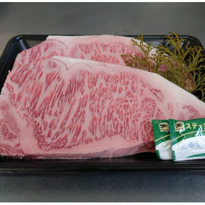 【ふるさと納税】国産黒毛和牛サーロインステーキ 500g【配送不可地域：離島】【1607975】