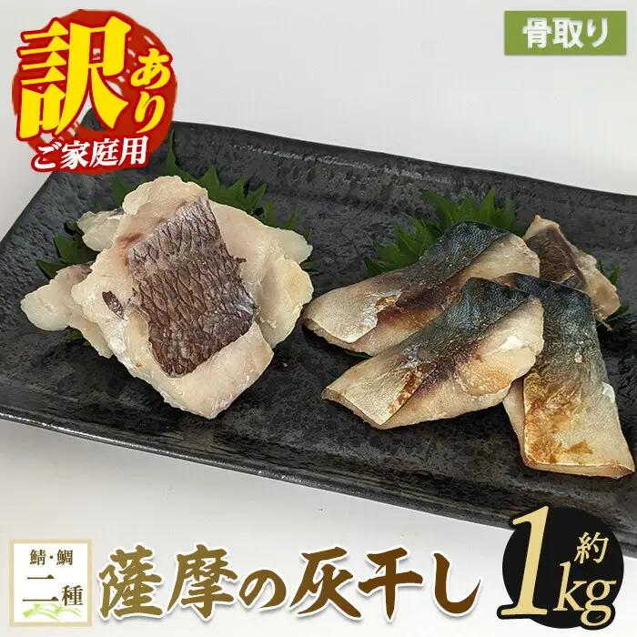 【訳あり・家庭用】薩摩の灰干し 鯖・真鯛セット 計1.05kg (浜上水産/IB038-005)  魚 干物 骨取り 骨なし 鯖 サバ 鯛 タイ 真鯛 灰干し 国産
