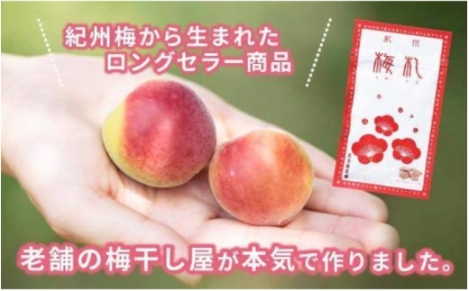 紀州梅札 14g×30袋　梅づくり100年「紀州ほそ川」の梅お菓子　【hoso005A】