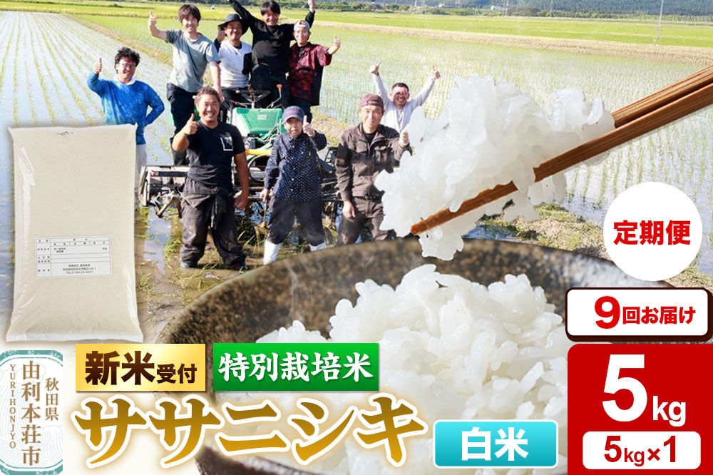 
                  《令和8年産 新米受付》《定期便9ヶ月》【白米】特別栽培米 ササニシキ 5kg 秋田県産 [ササニシキ 新米予約 先行予約 米 お米 こめ 白米 精米 ブランド米 食卓 おにぎり 秋田県産 秋田]
                