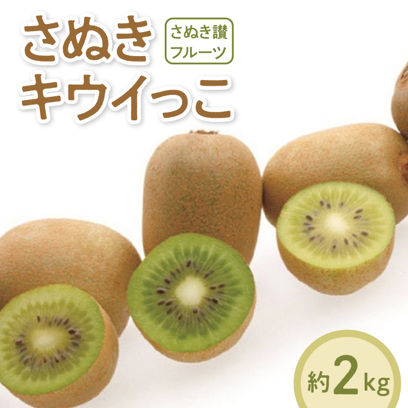 M02-0142_【ふるさと納税】【先行予約】 【配送不可地域：北海道・沖縄県・離島】キウイ 約 2kg 40～80玉 さぬきキウイっこ 国産 一口サイズ 可愛い 香川県 果物 フルーツ さぬき讃フルーツ オリジナルキウイ 糖度が高く 酸味が少ない お取り寄せ お取り寄せフルーツ 送料無料