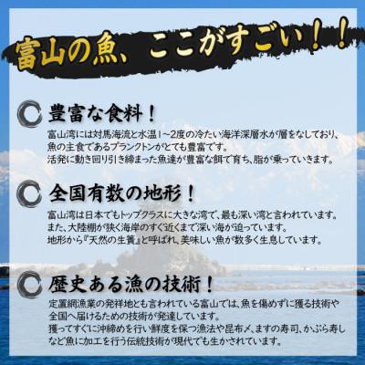 ふるさと納税 氷見市 【寒ブリ使用!】氷見天然ぶり欲張りセット |  | 02