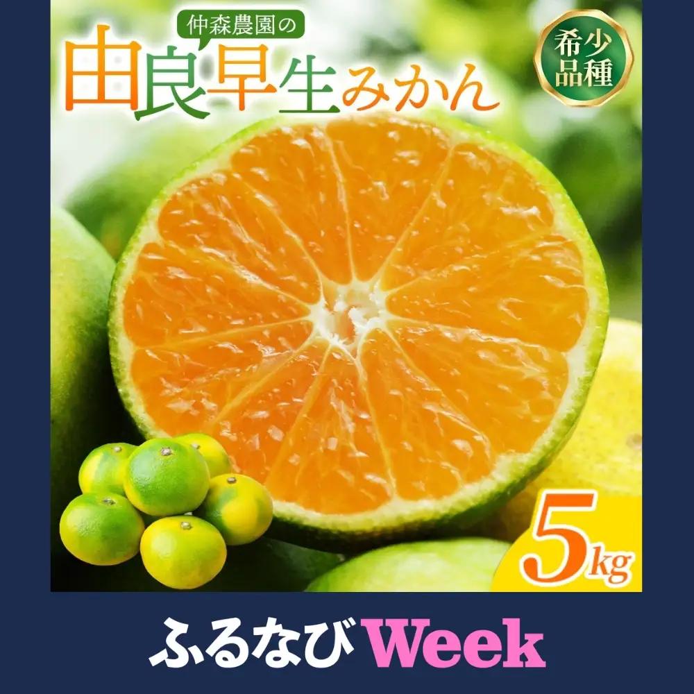 みかん 由良早生みかん 約5kg【nkmr0020】
