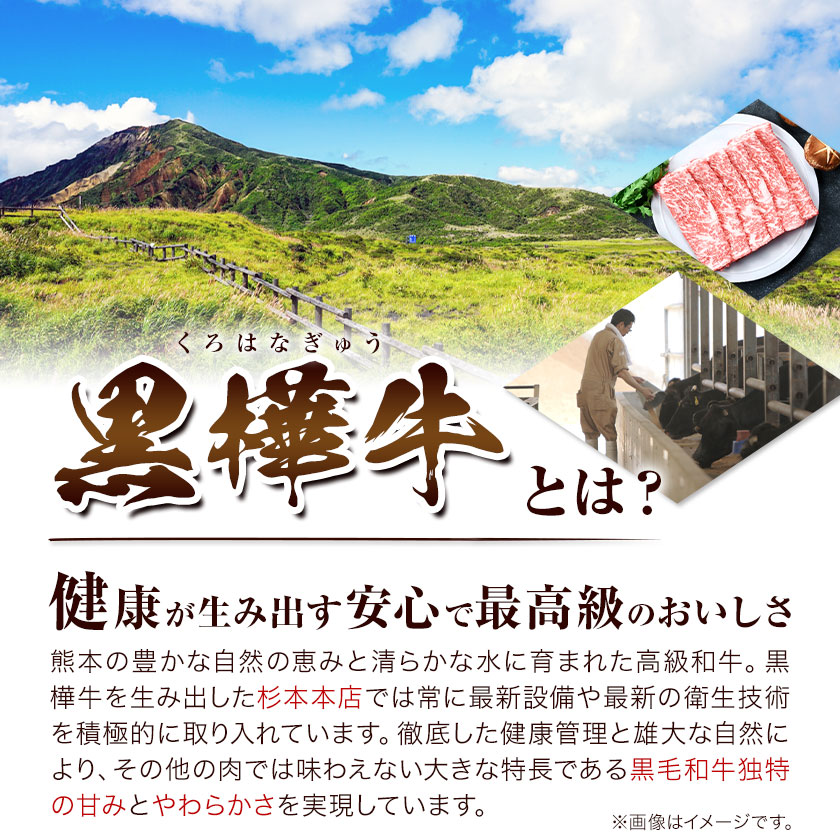 【3ヶ月定期便】牛肉 くまもと黒毛和牛 黒樺牛 A4-A5等級 ロースステーキ(1枚200g) 400g/月×3回 計1.2kg 杉本本店《お申し込み月の翌月から出荷開始》ステーキ 和牛 お肉 黒毛和