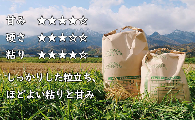 【令和7年度】北海道 富良野産 ゆめぴりか 減農薬 10kg 米 (