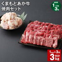 【ふるさと納税】【定期便】【1ヶ月毎3回】くまもとあか牛 焼肉セット 計3kg（1kg×3回） もも焼肉 700g ホルモン 300g 和牛 牛肉 お肉 あか牛 赤身 霜降り BBQ モモ肉 もつ モツ グルメ お取り寄せ 冷凍 熊本県産 国産 熊本県 上天草市 送料無料